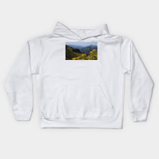 The alps Kids Hoodie